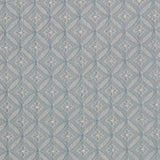 Charlotte - D4085 - Azure Bria - Fabric by the Yard
