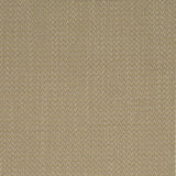 Charlotte - D4169 - Fern - Fabric by the Yard