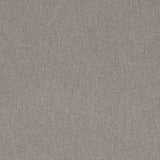 Charlotte - D4283 - Zinc - Fabric by the Yard