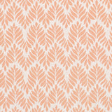 Charlotte - D4311 - Shell - Fabric by the Yard