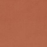 Charlotte - D4503 - Adobe - Fabric by the Yard