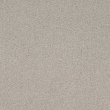 Charlotte - D4658 - Sterling - Fabric by the Yard