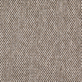 Charlotte - D4911 - Fog - Fabric by the Yard