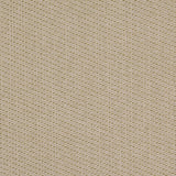 Charlotte - D4995 - Spring - Fabric by the Yard