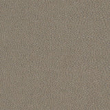 Charlotte - D900 - Pebble/Slate - Fabric by the Yard