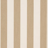 Charlotte - D984 - Dune Stripe - Fabric by the Yard