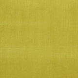 CLARKE AND CLARKE - ALVAR- LIME - Fabric by the Yard