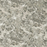 CLARKE AND CLARKE - MARMO- TAUPE - Fabric by the Yard