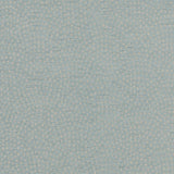 CLARKE AND CLARKE - NEBULA- DUCKEGG - Fabric by the Yard