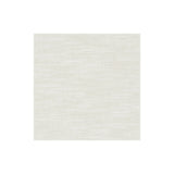 CLARKE AND CLARKE - AMALFI- POLAR - Fabric by the Yard