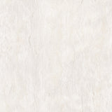 CLARKE AND CLARKE - MYSTIC- IVORY - Fabric by the Yard