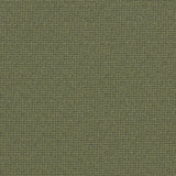 CLARKE AND CLARKE - MALONE- MOSS - Fabric by the Yard