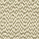 Charlotte - F300-230 - Fabric by the Yard