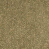 Charlotte - F300-265 - Fabric by the Yard