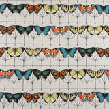FLUTTER - CHROMATIC - Mag Fabrics - Fabric By The Yard