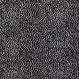 Felix - Dalmatian - 29 Park - Fabric by the Yard