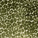 LANDON - OLIVE - Mag Fabrics - Fabric By The Yard
