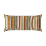Outdoor Fancy Stripe Lumbar Pillow - Multi - DV Kap