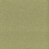 PERRY - MOJITO - Mag Fabrics - Fabric By The Yard