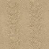 Maxwell - BASILISK-NJ - PLASTER - Fabric by the Yard