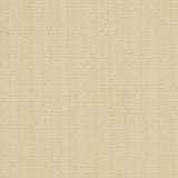 Charlotte - R265 - Cream - Fabric by the Yard