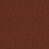 ROOKER - CHILE - Mag Fabrics - Fabric By The Yard