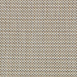 Charlotte - S326 - Dove - Fabric by the Yard