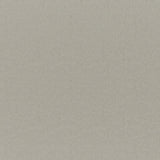 Maxwell - CADENZA - STUCCO - Fabric by the Yard