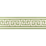 BRUNSCHWIG & FILS - PAROS TAPE- LEAF - Fabric by the Yard