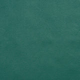 Charlotte - TD-Forest - Forest - Fabric by the Yard