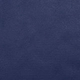 Charlotte - TD-NaVy - Navy - Fabric by the Yard