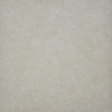 Maxwell - TARO - ASHWOOD - Fabric by the Yard