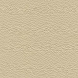 Maxwell - TEBESSA-NJ - ALMOND - Fabric by the Yard