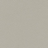 Maxwell - TEBESSA-NJ - DOVE - Fabric by the Yard