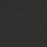 Maxwell - TEBESSA-NJ - ONYX - Fabric by the Yard