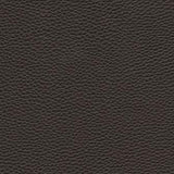 Maxwell - TEBESSA-NJ - STAR ANISE - Fabric by the Yard