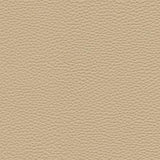 Maxwell - TEBESSA-NJ - BIRCH - Fabric by the Yard