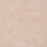 Charlotte - V210 - Blush - Fabric by the Yard