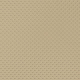Charlotte - V404 - Sandstone Perforated - Fabric by the Yard