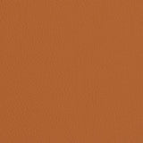Charlotte - V427 - Burnt Sienna - Fabric by the Yard