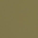 Charlotte - V660 - Sage - Fabric by the Yard