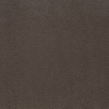 Charlotte - V876 - Graphite - Fabric by the Yard