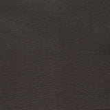 Charlotte - V879 - Ebony - Fabric by the Yard