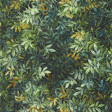 CLARKE AND CLARKE - CONGO- FOREST WP - Wallcovering by the Roll