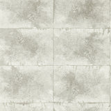 CLARKE AND CLARKE - IGNEOUS- PEARL WP - Wallcovering by the Roll