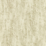 CLARKE AND CLARKE - SONTUOSO- GILVER WP - Wallcovering by the Roll