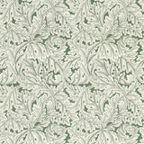 CLARKE AND CLARKE - ACANTHUS WP- SAGE - Wallcovering by the Roll