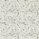 CLARKE AND CLARKE - ACANTHUS WP- SLATE - Wallcovering by the Roll