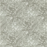 CLARKE AND CLARKE - DIPINTO- PEWTER WP - Wallcovering by the Roll