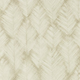 CLARKE AND CLARKE - FOLIUS- SAHARA WP - Wallcovering by the Roll